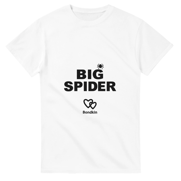 Adult - Big spider